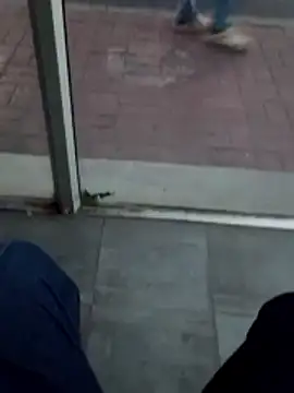 beerant live sex cam