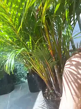 SweetieSinXXX live sex cam