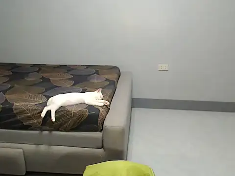 THE-DIRTY_MISTRESS09 live sex cam