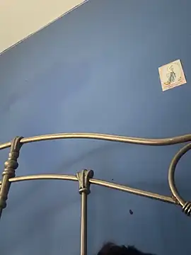 stevo170t live sex cam