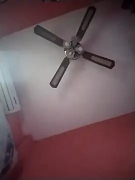 Danii2005 live sex cam