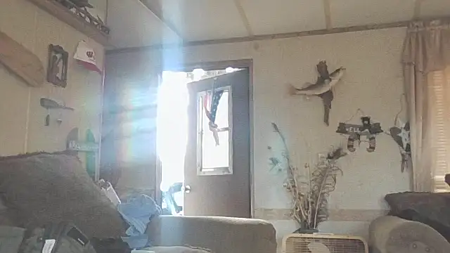 Yankeedave420 live sex cam