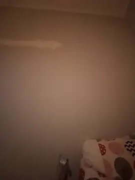 bruna_safadinhaa live sex cam