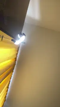 baby_lizy live sex cam