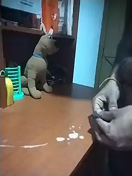 SL_BEAR live sex cam