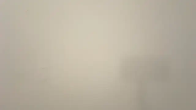 avroramey live sex cam