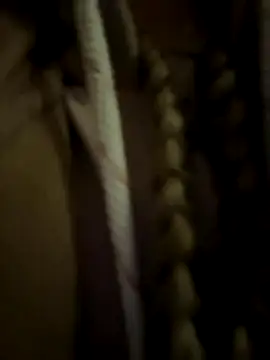 bambi_lu live sex cam