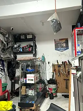 Paul22cm- live sex cam