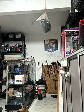 Paul22cm- live sex cam