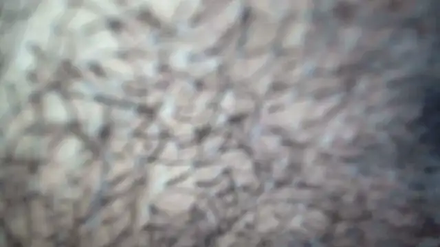 white_sexy_ live sex cam