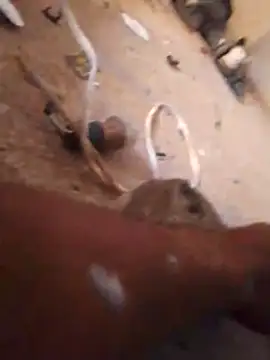 Orlao25cm live sex cam