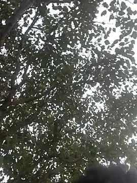 bigmama_deshayyy live sex cam