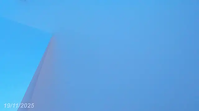 Sebax_Young live sex cam