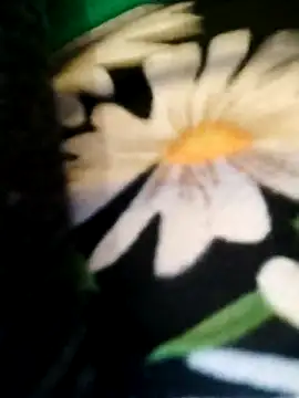 alana_69 live sex cam