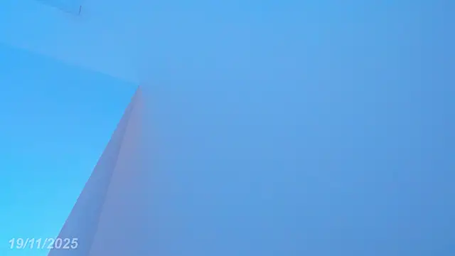 Sebax_Young live sex cam