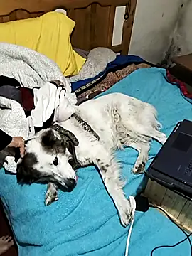 LaInsaciableIntensa live sex cam