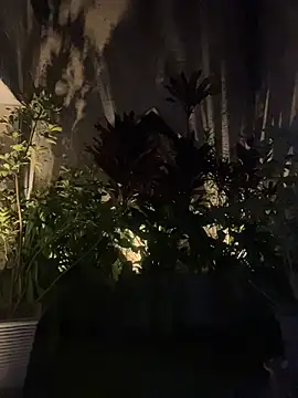 Maxim-Walker live sex cam