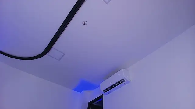 mister_miike live sex cam