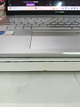 FloweredShallow's cam snapshot