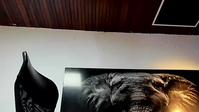 king_falconer's cam snapshot