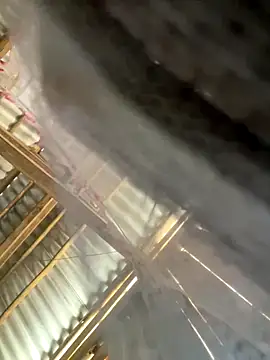 mai-xinh live sex cam