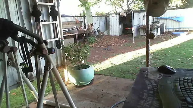 herbie010666 live sex cam