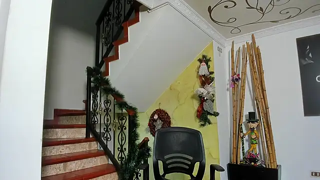 Belamiramill's cam snapshot