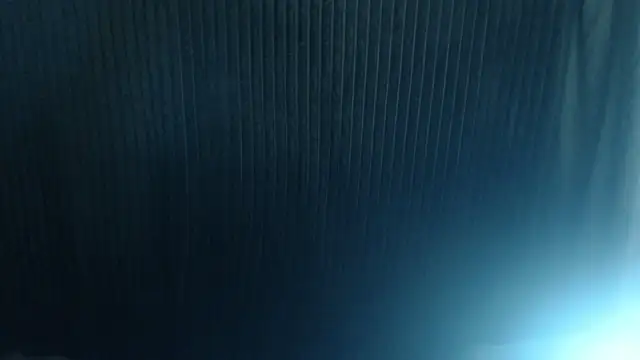 1BECHA1 live sex cam