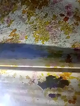 Cogelonregio's cam snapshot