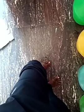 dolphiinn's cam snapshot