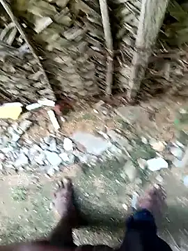 dolphiinn's cam snapshot