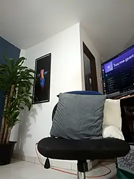 SilvaBranko's cam snapshot