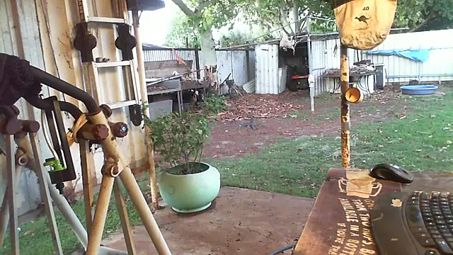 herbie010666 live sex cam