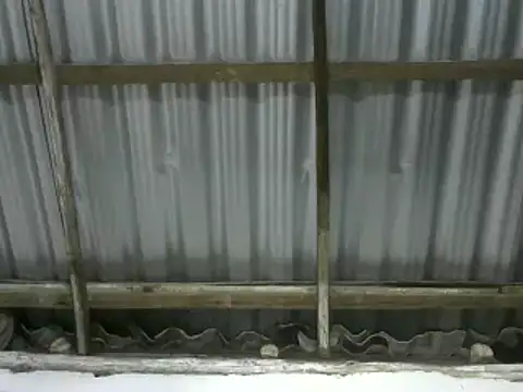 michel_sc live sex cam