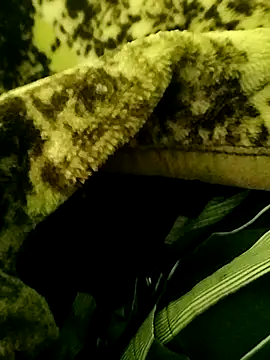 Pihusbg112 live sex cam