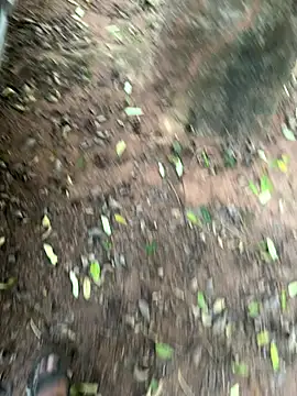 pimange34 live sex cam