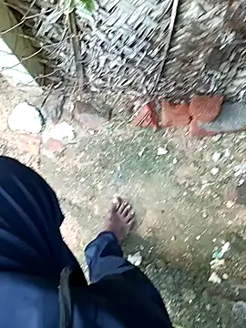 dolphiinn's cam snapshot