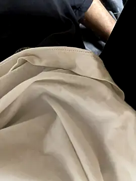 SL_NIKI_PUBLIC's cam snapshot