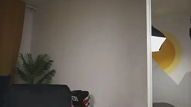 kevin-park live sex cam