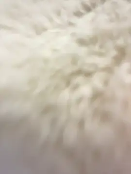 babydolll live sex cam