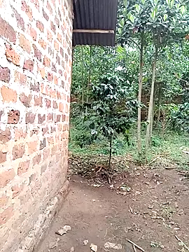 Black_juicy24 live sex cam