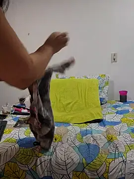 amaranta_c live sex cam