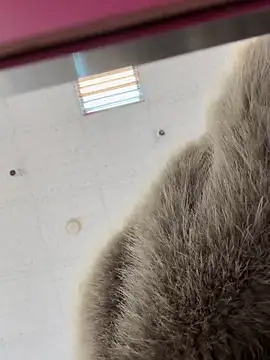 DandanBurgerking live sex cam