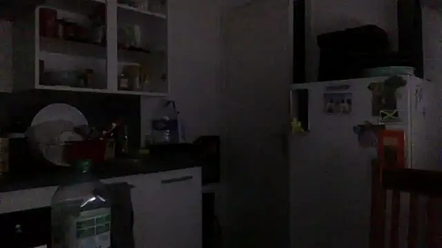 toyroma's cam snapshot