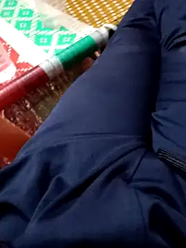 dolphiinn's cam snapshot