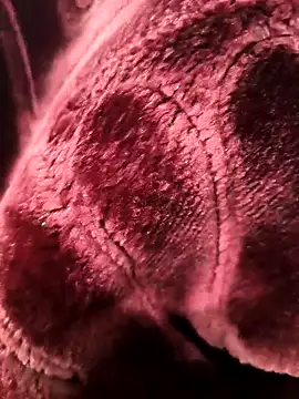 Chanderi19's cam snapshot