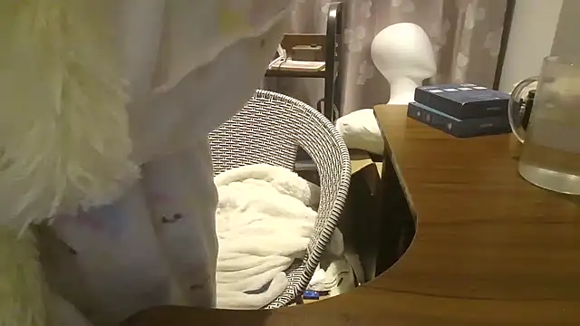 arena1357's Stripchat show and profile