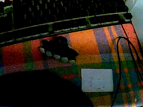 Manddeexx live sex cam