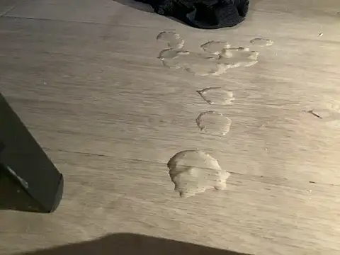 SalesmanAlan's cam snapshot