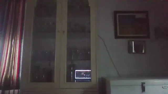 llopaco's cam snapshot